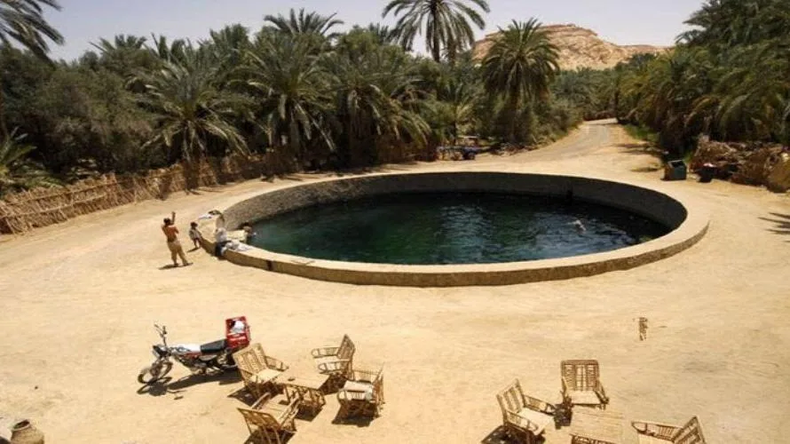 Cleopatras, Pool, Egypt, Travel, Booking